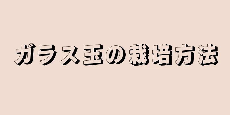 ガラス玉の栽培方法