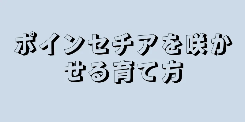 ポインセチアを咲かせる育て方