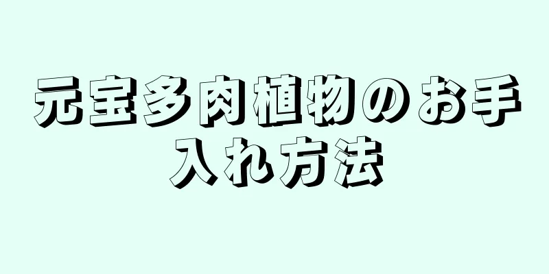 元宝多肉植物のお手入れ方法