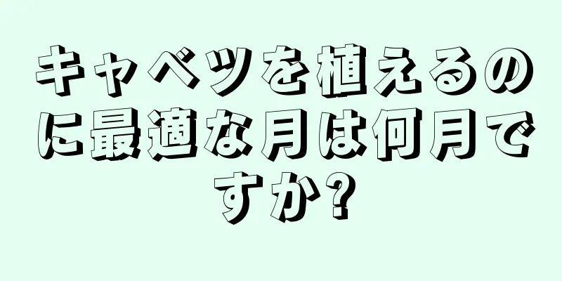 キャベツを植えるのに最適な月は何月ですか?