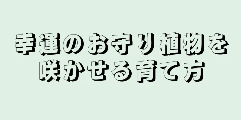 幸運のお守り植物を咲かせる育て方