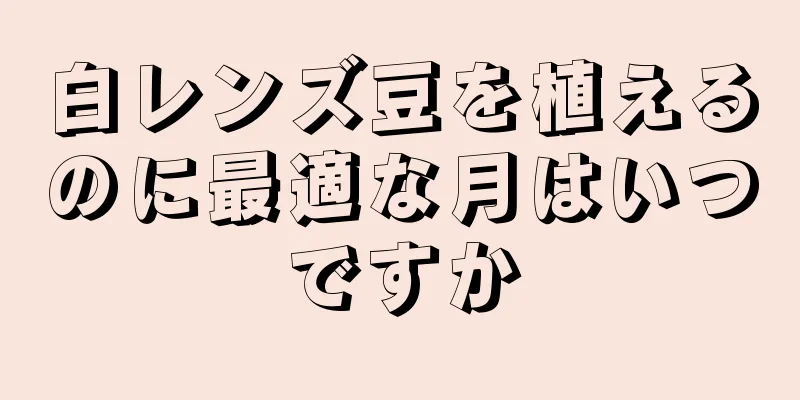 白レンズ豆を植えるのに最適な月はいつですか