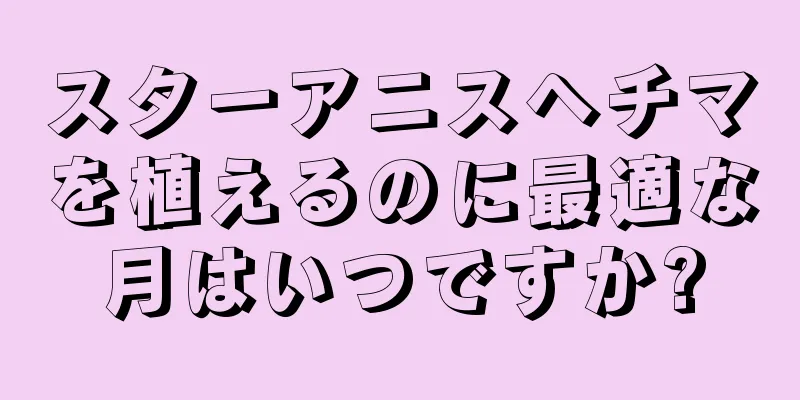 スターアニスヘチマを植えるのに最適な月はいつですか?