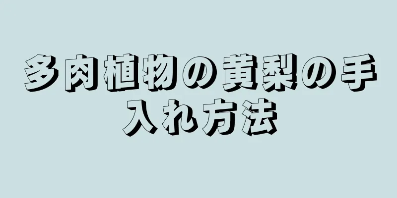 多肉植物の黄梨の手入れ方法