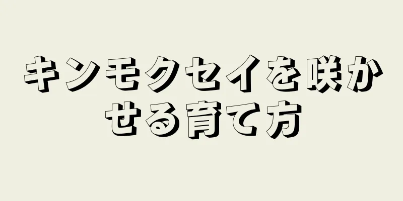 キンモクセイを咲かせる育て方