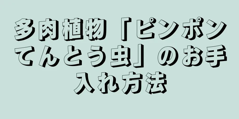 多肉植物「ピンポンてんとう虫」のお手入れ方法