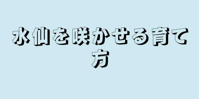 水仙を咲かせる育て方