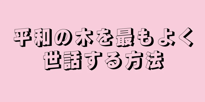 平和の木を最もよく世話する方法