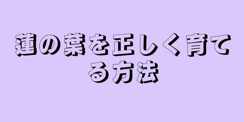 蓮の葉を正しく育てる方法