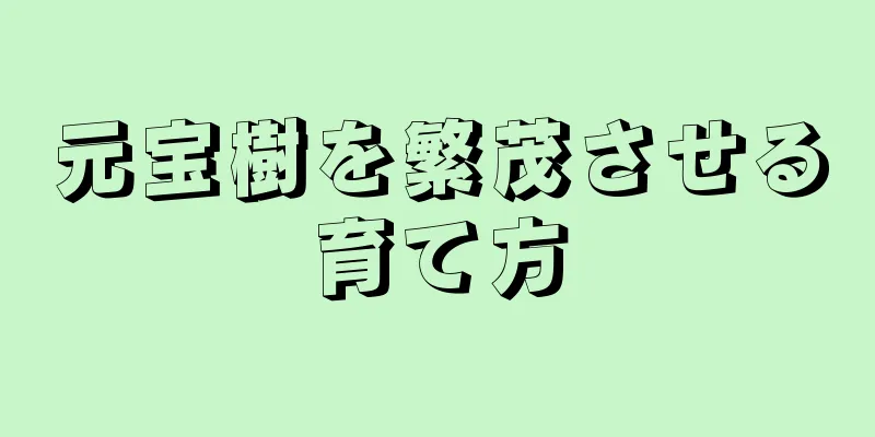 元宝樹を繁茂させる育て方