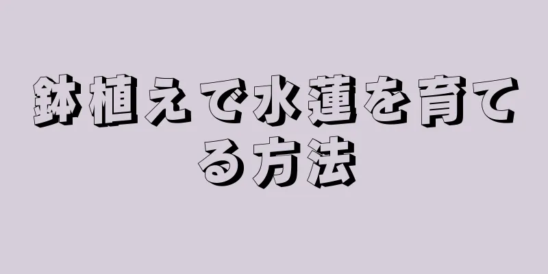 鉢植えで水蓮を育てる方法
