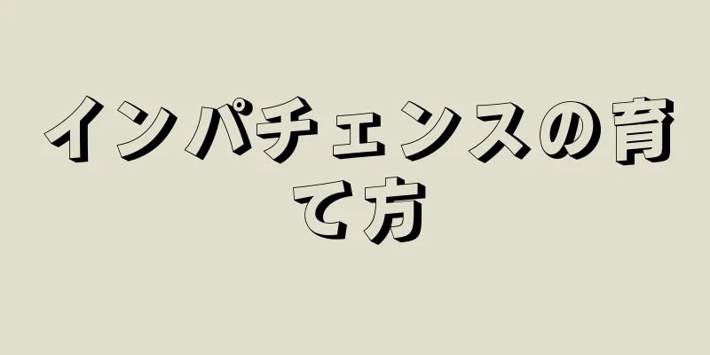 インパチェンスの育て方