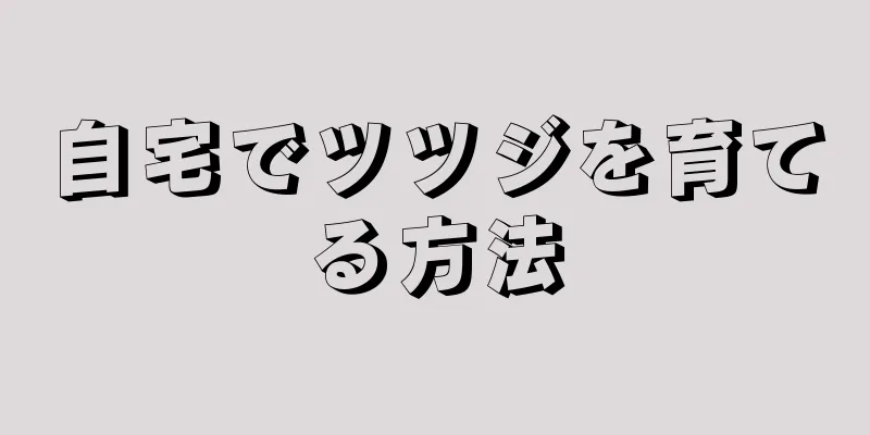 自宅でツツジを育てる方法