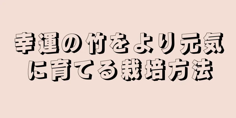 幸運の竹をより元気に育てる栽培方法