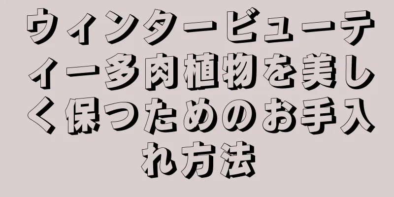 ウィンタービューティー多肉植物を美しく保つためのお手入れ方法