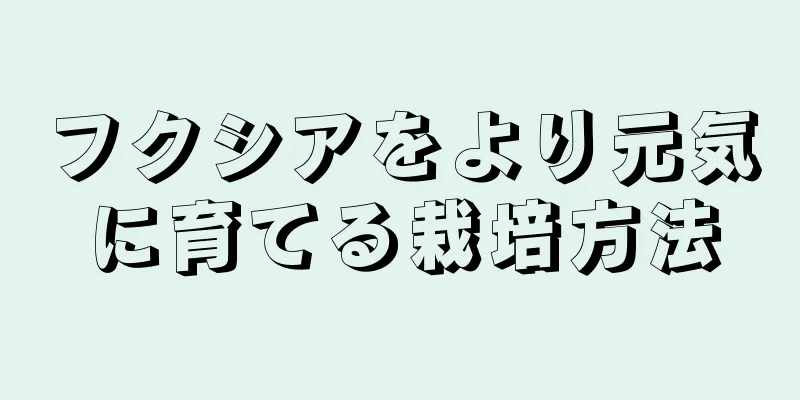 フクシアをより元気に育てる栽培方法