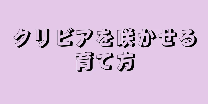 クリビアを咲かせる育て方