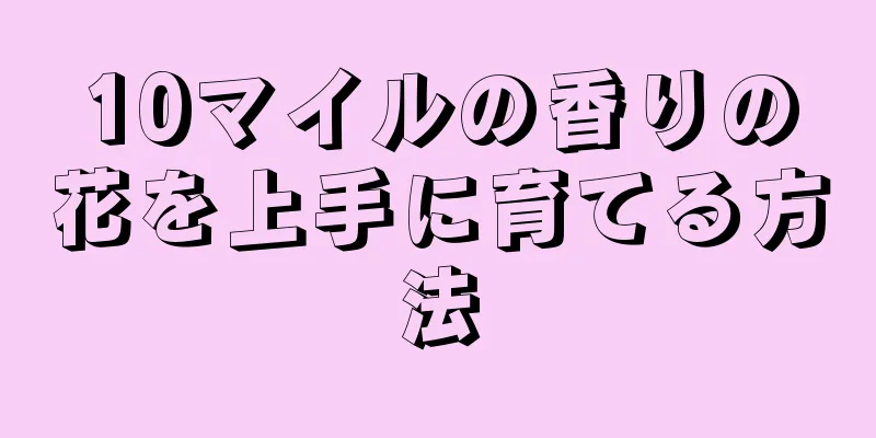 10マイルの香りの花を上手に育てる方法
