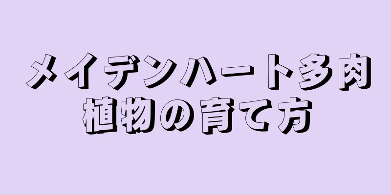 メイデンハート多肉植物の育て方