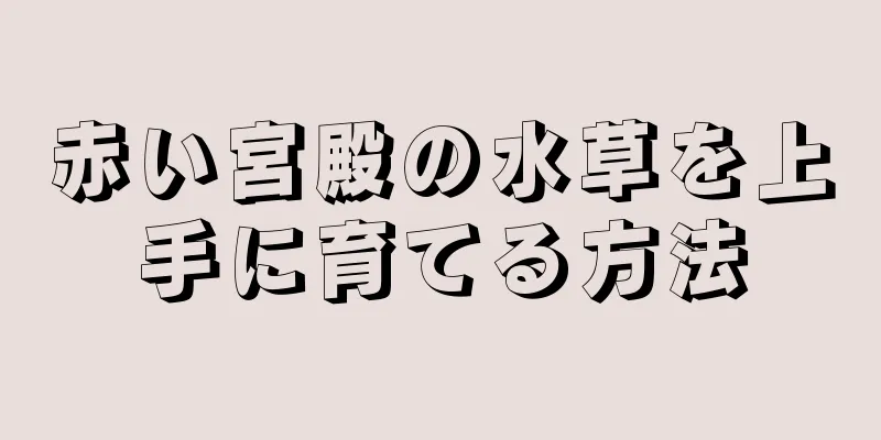 赤い宮殿の水草を上手に育てる方法