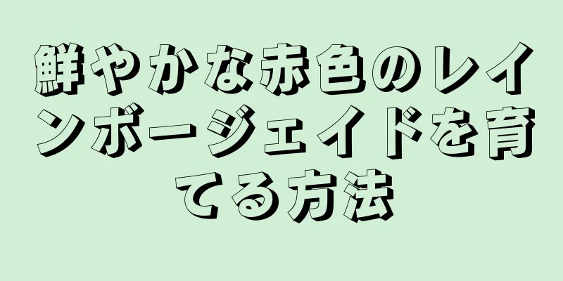 鮮やかな赤色のレインボージェイドを育てる方法