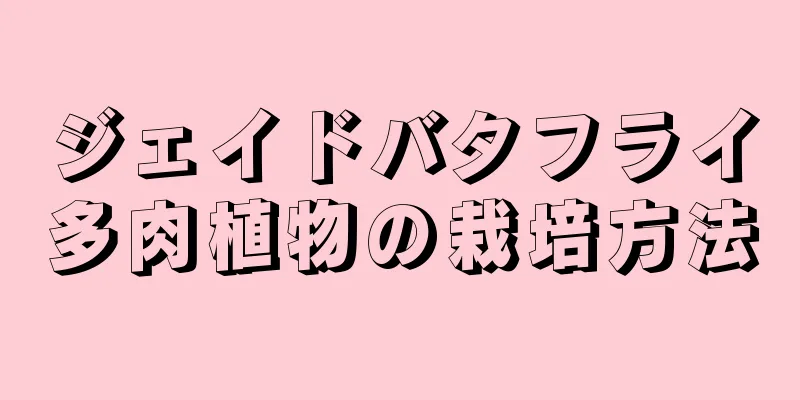 ジェイドバタフライ多肉植物の栽培方法