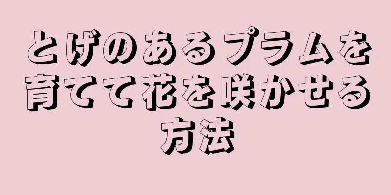 とげのあるプラムを育てて花を咲かせる方法