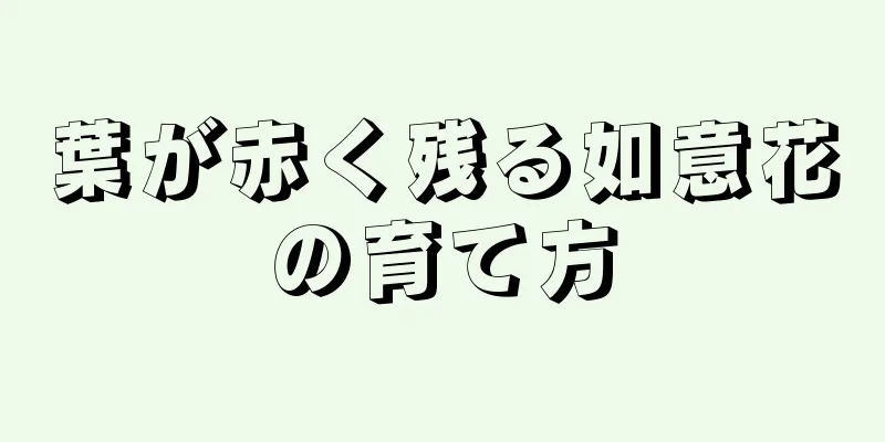 葉が赤く残る如意花の育て方