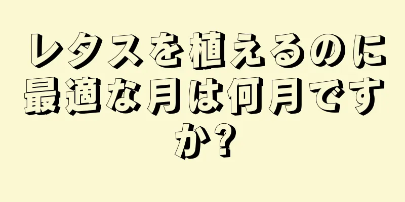 レタスを植えるのに最適な月は何月ですか?