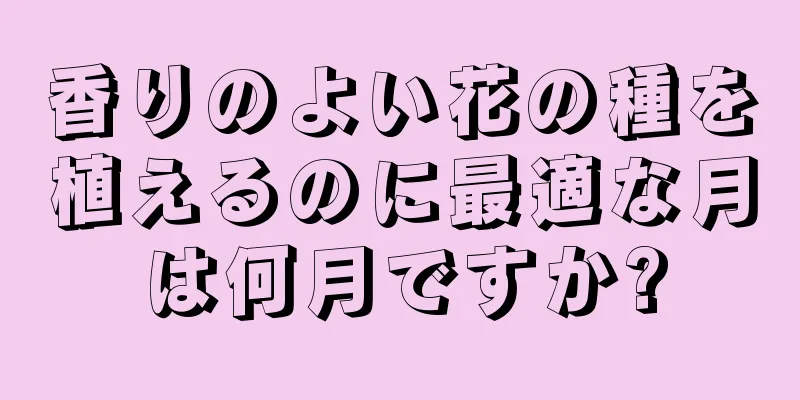 香りのよい花の種を植えるのに最適な月は何月ですか?