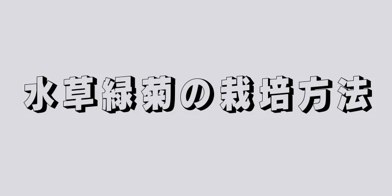 水草緑菊の栽培方法