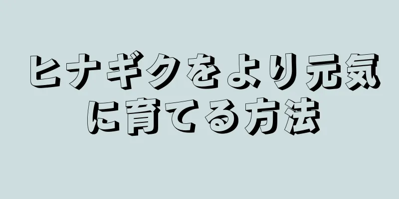 ヒナギクをより元気に育てる方法