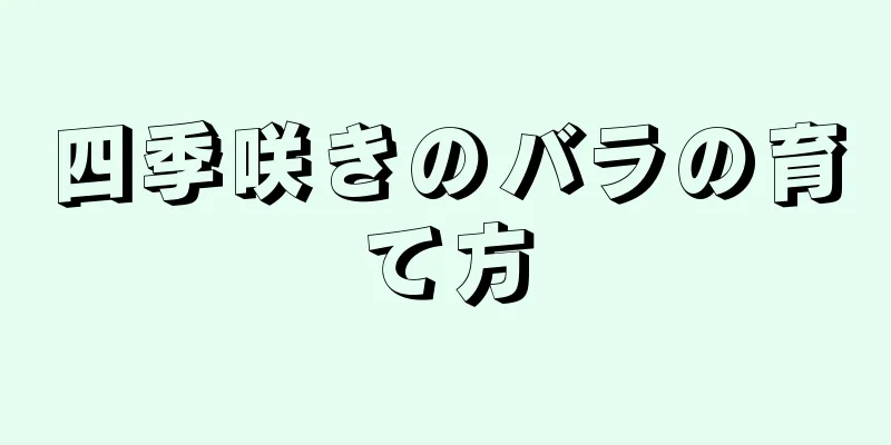 四季咲きのバラの育て方