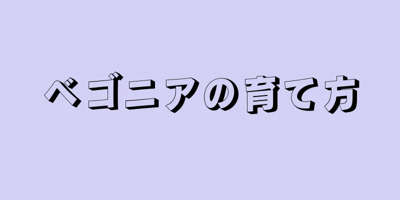 ベゴニアの育て方