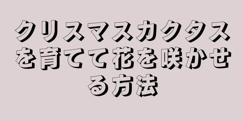 クリスマスカクタスを育てて花を咲かせる方法