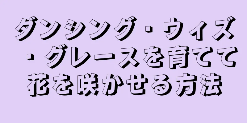 ダンシング・ウィズ・グレースを育てて花を咲かせる方法