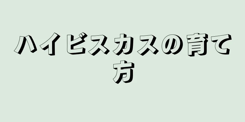 ハイビスカスの育て方