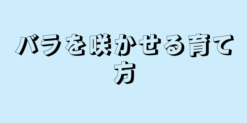バラを咲かせる育て方