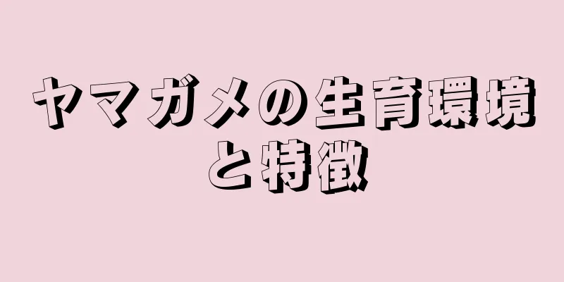 ヤマガメの生育環境と特徴