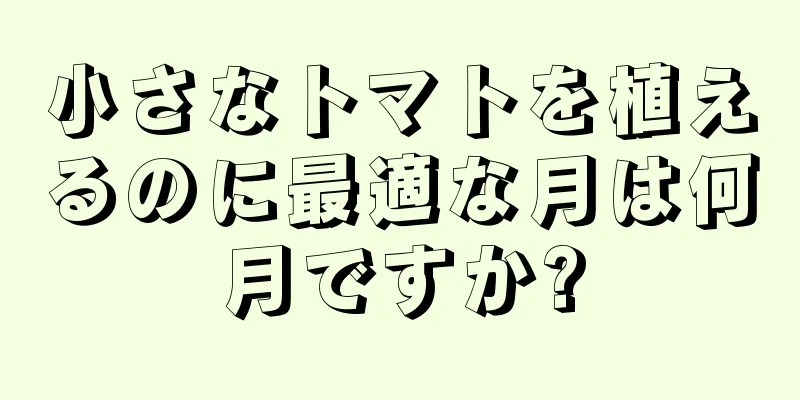 小さなトマトを植えるのに最適な月は何月ですか?