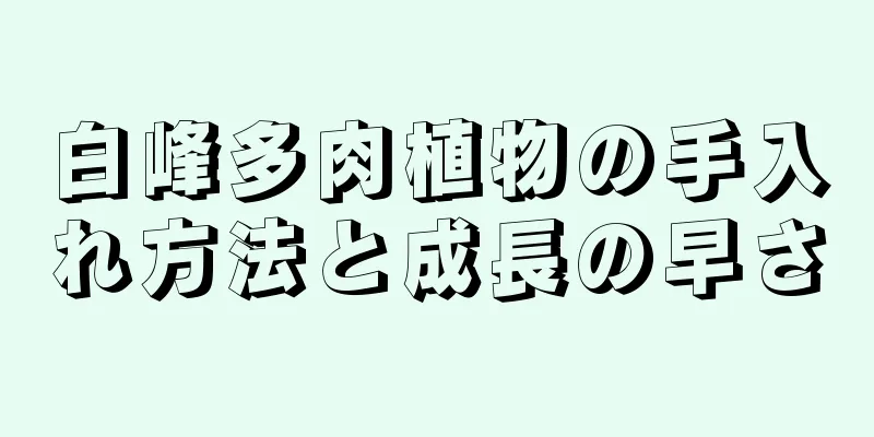 白峰多肉植物の手入れ方法と成長の早さ