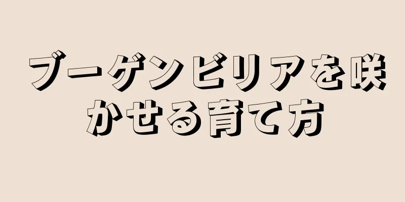 ブーゲンビリアを咲かせる育て方