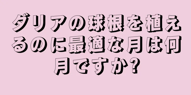 ダリアの球根を植えるのに最適な月は何月ですか?