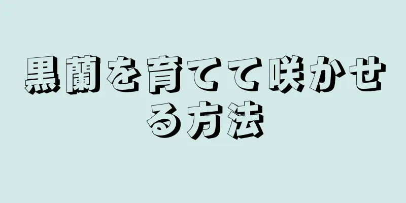 黒蘭を育てて咲かせる方法