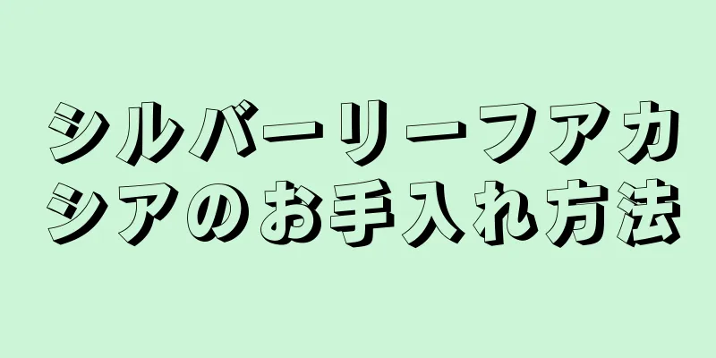 シルバーリーフアカシアのお手入れ方法