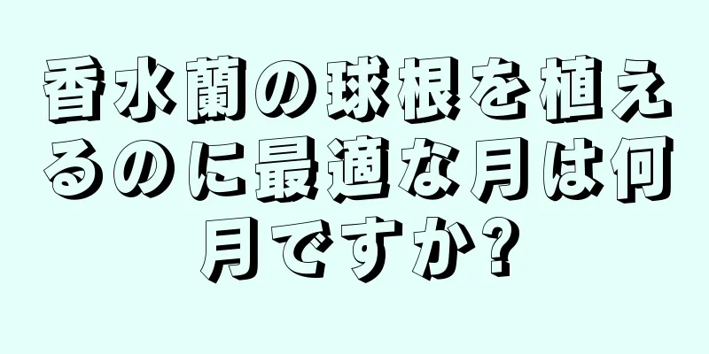 香水蘭の球根を植えるのに最適な月は何月ですか?