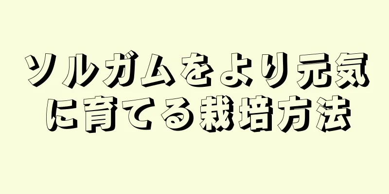 ソルガムをより元気に育てる栽培方法