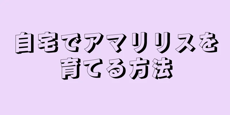 自宅でアマリリスを育てる方法