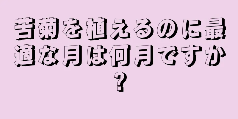 苦菊を植えるのに最適な月は何月ですか?