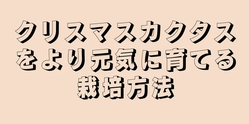 クリスマスカクタスをより元気に育てる栽培方法